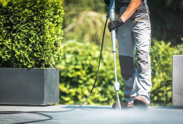 Best Animal Enclosure Cleaning  in Barnum Island, NY