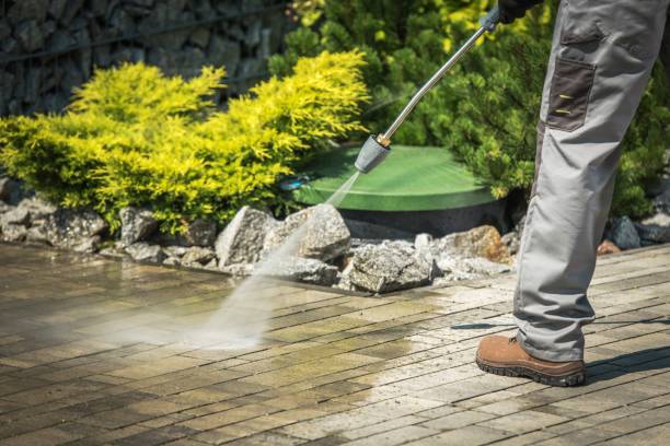 Best Fence Cleaning  in Barnum Island, NY